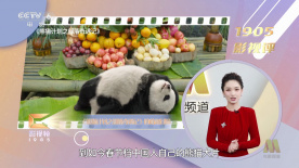 欧美电影中文字幕